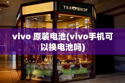 vivo 原装电池(vivo手机可以换电池吗)