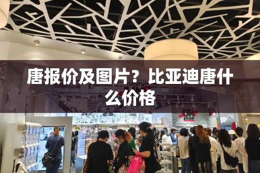 唐报价及图片？比亚迪唐什么价格-第1张图片-星选测评