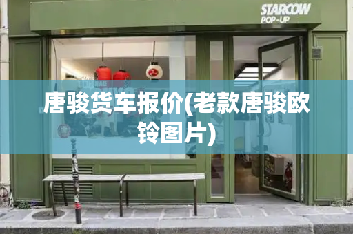 唐骏货车报价(老款唐骏欧铃图片)-第1张图片-星选测评