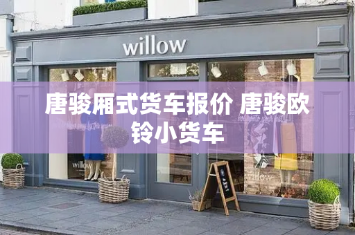 唐骏厢式货车报价 唐骏欧铃小货车-第1张图片-星选测评