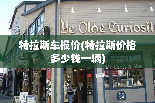 特拉斯车报价(特拉斯价格多少钱一辆)