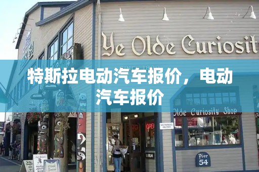 特斯拉电动汽车报价，电动汽车报价-第1张图片-星选测评