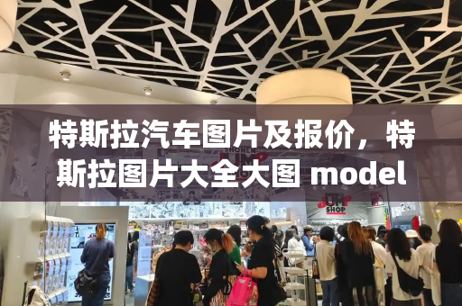 特斯拉汽车图片及报价，特斯拉图片大全大图 modely