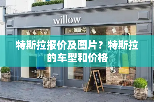特斯拉报价及图片？特斯拉的车型和价格-第1张图片-星选测评
