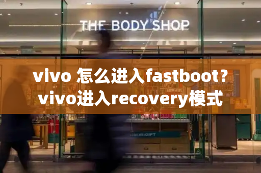 vivo 怎么进入fastboot？vivo进入recovery模式-第1张图片-星选测评