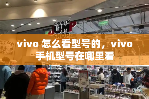 vivo 怎么看型号的，vivo手机型号在哪里看-第1张图片-星选测评