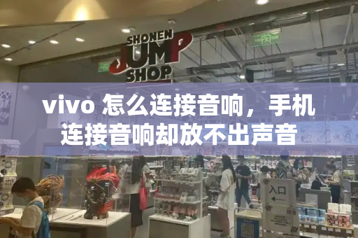 vivo 怎么连接音响，手机连接音响却放不出声音-第1张图片-星选测评