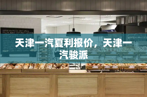天津一汽夏利报价，天津一汽骏派-第1张图片-星选测评