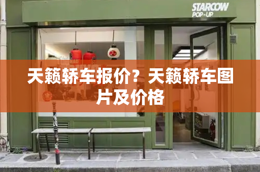天籁轿车报价？天籁轿车图片及价格-第1张图片-星选测评