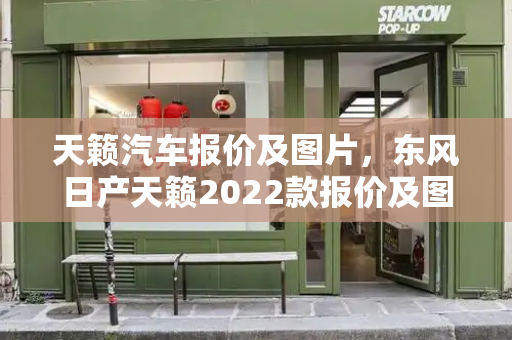 天籁汽车报价及图片，东风日产天籁2022款报价及图片