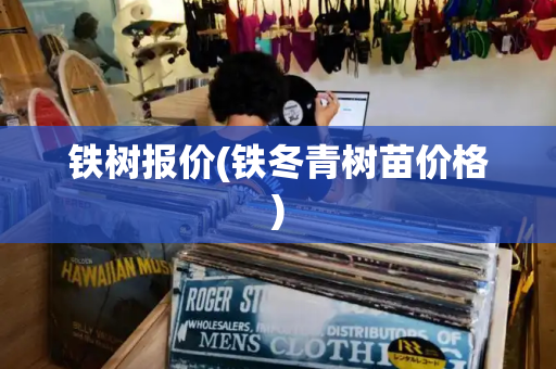 铁树报价(铁冬青树苗价格)