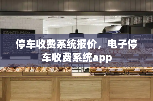 停车收费系统报价，电子停车收费系统app