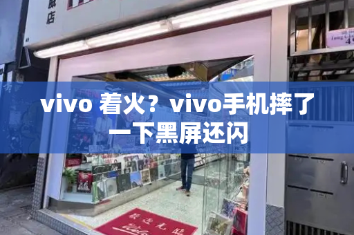 vivo 着火？vivo手机摔了一下黑屏还闪