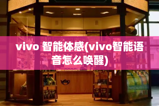 vivo 智能体感(vivo智能语音怎么唤醒)