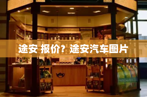 途安 报价？途安汽车图片