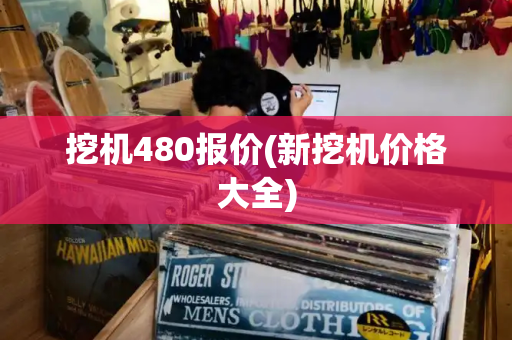 挖机480报价(新挖机价格大全)