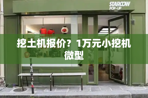 挖土机报价？1万元小挖机微型