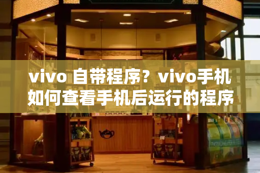 vivo 自带程序？vivo手机如何查看手机后运行的程序