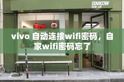 vivo 自动连接wifi密码，自家wifi密码忘了-第1张图片-星选测评