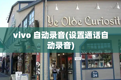 vivo 自动录音(设置通话自动录音)-第1张图片-星选测评