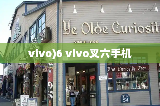 vivo)6 vivo叉六手机-第1张图片-星选测评