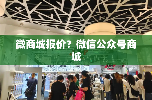 微商城报价？微信公众号商城-第1张图片-星选测评
