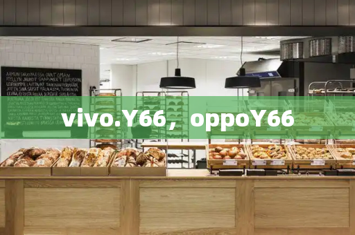 vivo.Y66，oppoY66-第1张图片-星选测评
