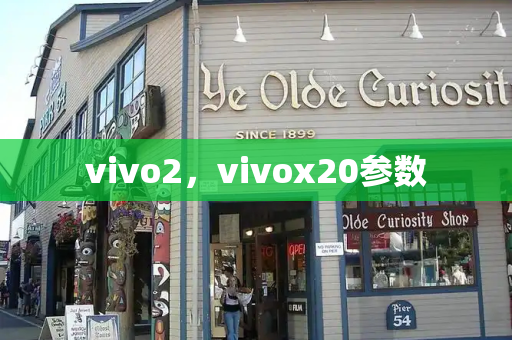 vivo2，vivox20参数