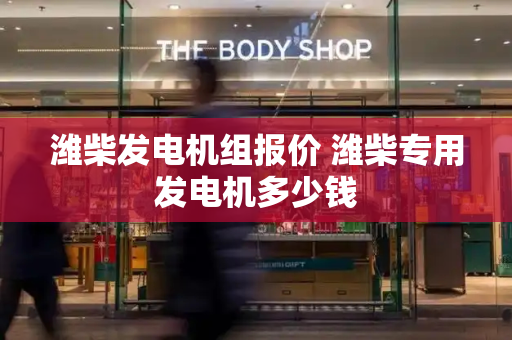 潍柴发电机组报价 潍柴专用发电机多少钱