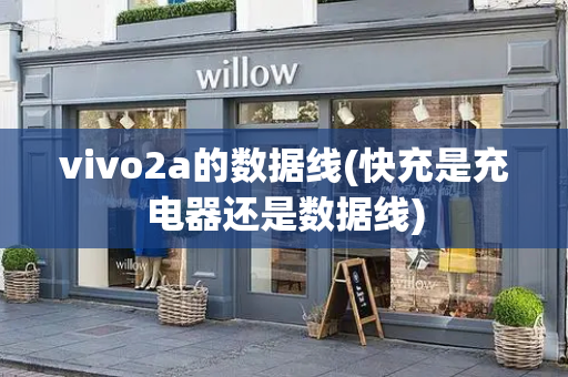 vivo2a的数据线(快充是充电器还是数据线)