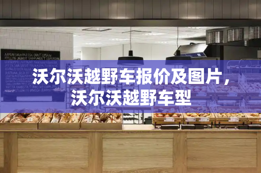 沃尔沃越野车报价及图片，沃尔沃越野车型-第1张图片-星选测评