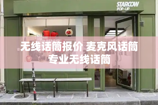 无线话筒报价 麦克风话筒专业无线话筒