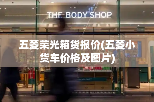 五菱荣光箱货报价(五菱小货车价格及图片)