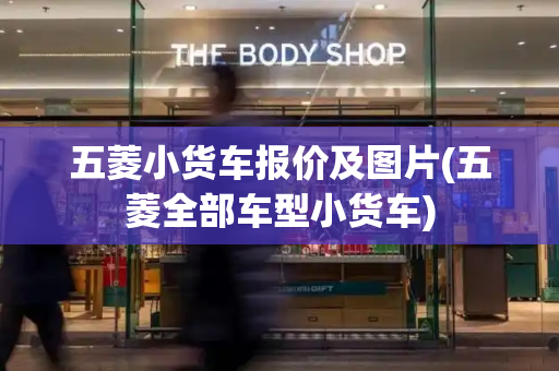 五菱小货车报价及图片(五菱全部车型小货车)-第1张图片-星选测评