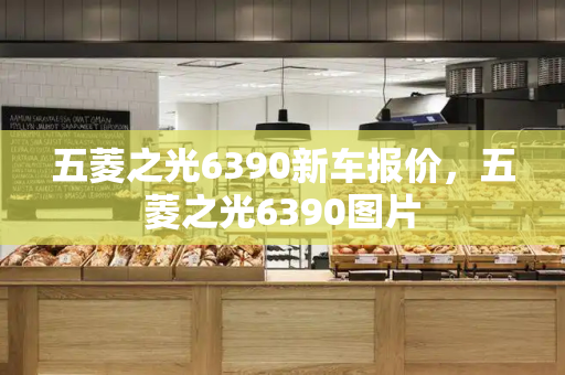 五菱之光6390新车报价，五菱之光6390图片