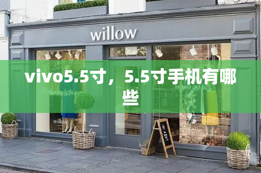 vivo5.5寸，5.5寸手机有哪些-第1张图片-星选测评