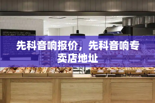 先科音响报价，先科音响专卖店地址