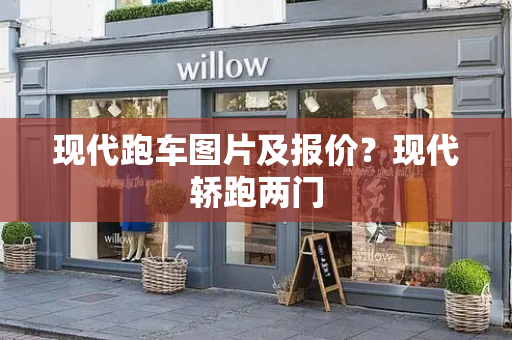 现代跑车图片及报价？现代轿跑两门-第1张图片-星选测评