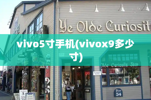 vivo5寸手机(vivox9多少寸)