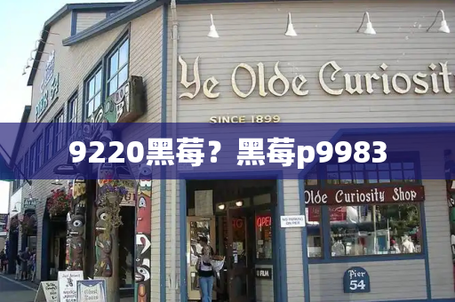 9220黑莓？黑莓p9983
