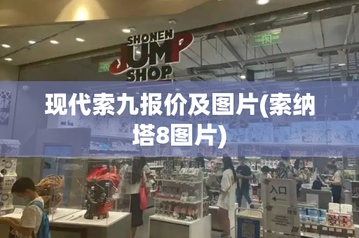 现代索九报价及图片(索纳塔8图片)
