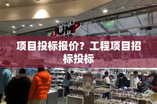 项目投标报价？工程项目招标投标