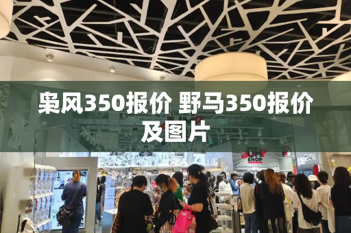 枭风350报价 野马350报价及图片