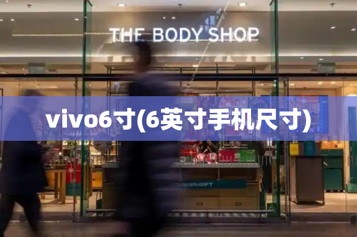 vivo6寸(6英寸手机尺寸)