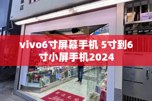 vivo6寸屏幕手机 5寸到6寸小屏手机2024-第1张图片-星选测评