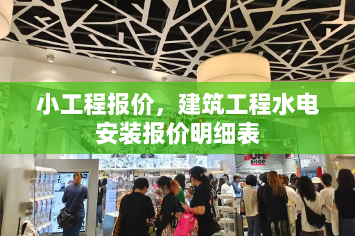 小工程报价，建筑工程水电安装报价明细表-第1张图片-星选测评