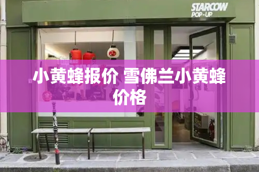 小黄蜂报价 雪佛兰小黄蜂价格-第1张图片-星选测评