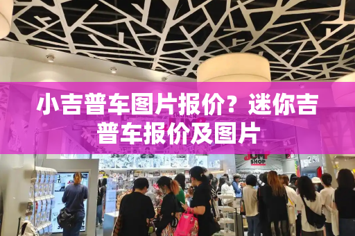 小吉普车图片报价？迷你吉普车报价及图片