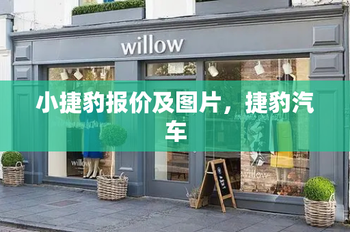 小捷豹报价及图片，捷豹汽车-第1张图片-星选测评