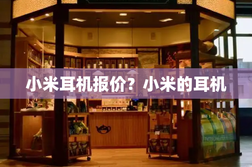 小米耳机报价？小米的耳机